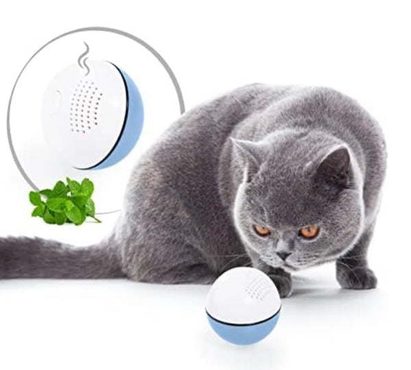 Balle interactive pour chat bleue Edupet avec recharge USB