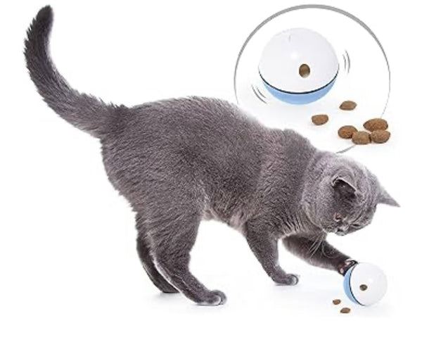 Balle interactive pour chat bleue Edupet avec recharge USB