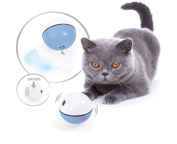 Balle interactive pour chat bleue Edupet avec recharge USB