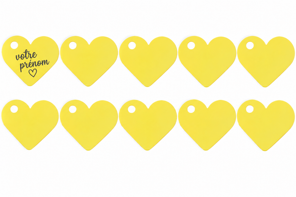 Marque Place Jaune Santex X10