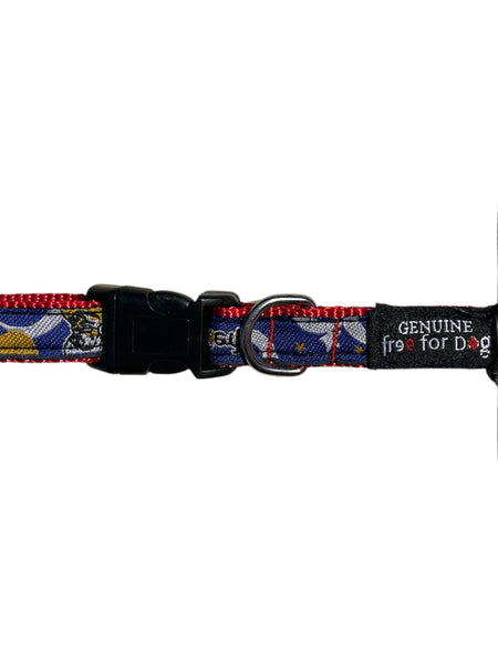 Collier pour chien Freedog en nylon ajustable – rouge et bleu motif Space – 15 mm (33-40 cm)
