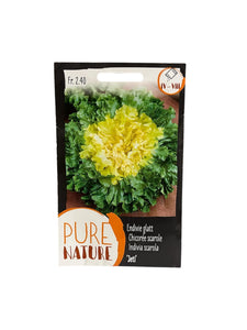 Graines de Chicorée Scarole "Jeti" – 2,5g pour 400 plantes !