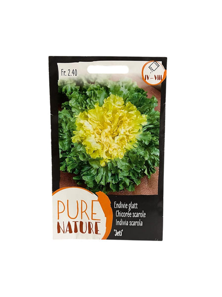 Graines de Chicorée Scarole "Jeti" – 2,5g pour 400 plantes !