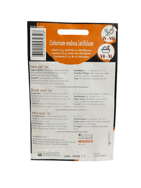 Graines de Chicorée Scarole "Jeti" – 2,5g pour 400 plantes !