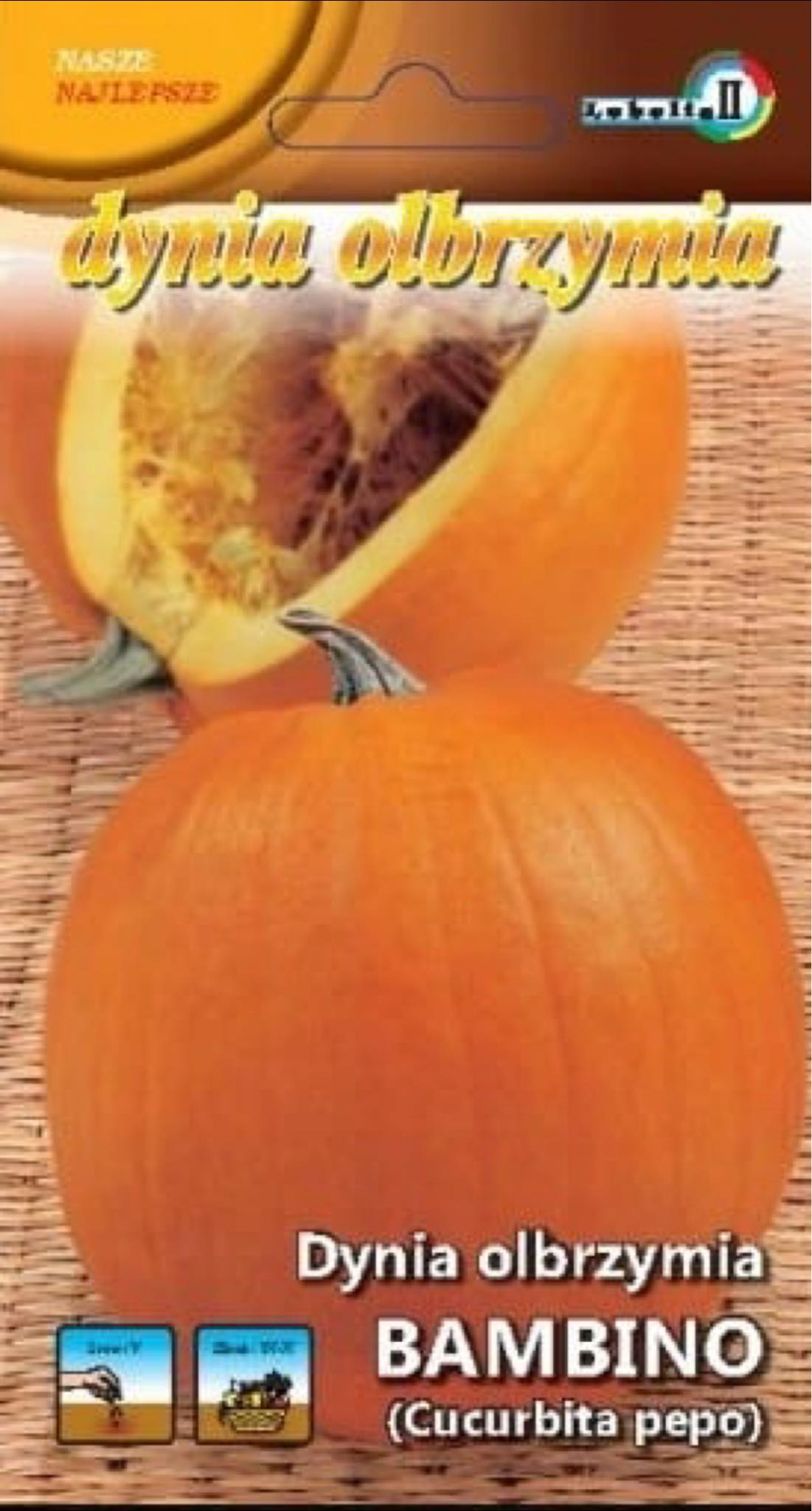 Graines de Courge Géante BAMBINO – Cucurbita pepo – Nasze Najlepsze