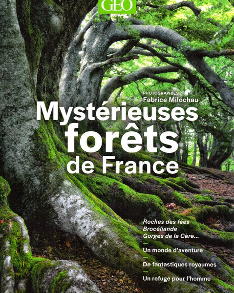 Livre Mystérieuses forêts de france / Fabrice Milochau