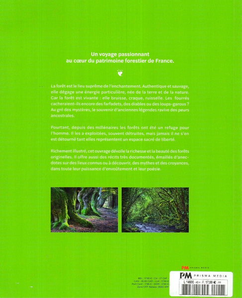 Livre Mystérieuses forêts de france / Fabrice Milochau