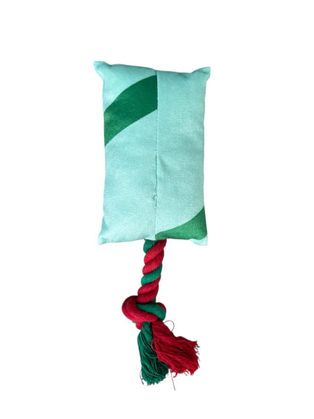 Jouet peluche "pop" vert pour chien avec couineur et corde.