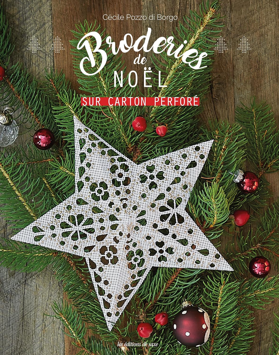 Livre "Broderies de Noël sur carton perforé" Cecile Pozzo di Borgo