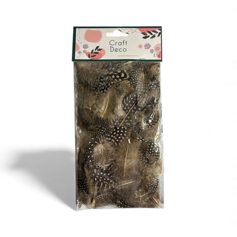 Plumes Marron Beige Craft & Deco