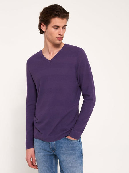 Pull Dreved Col V Violet Homme