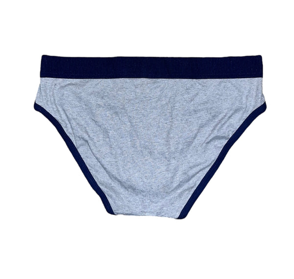 Slip HUE Homme gris et bleu