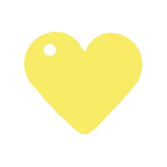 Marque Place Jaune Santex X10