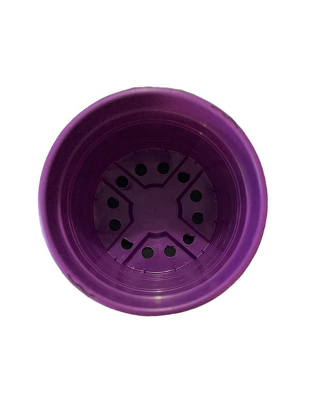 Pot de fleur Murgiplast a suspendre violet 2L