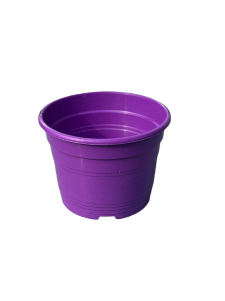 Pot de fleur Murgiplast a suspendre violet 2L