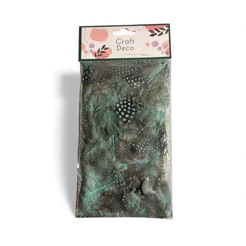 Plumes Noires Vertes Craft & Deco